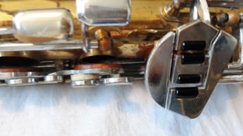 Dolnet Royal Jazz tenor (5)